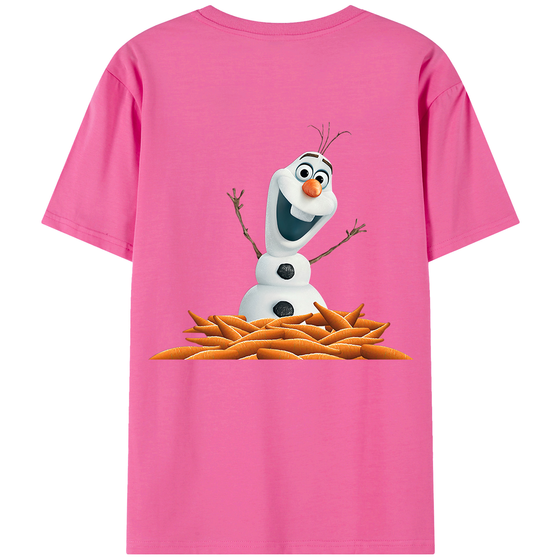 （画像用） アナと雪の女王 アンナ エルサ Frozen Anna Elsa レディース半袖Tシャツ(バックプリント)